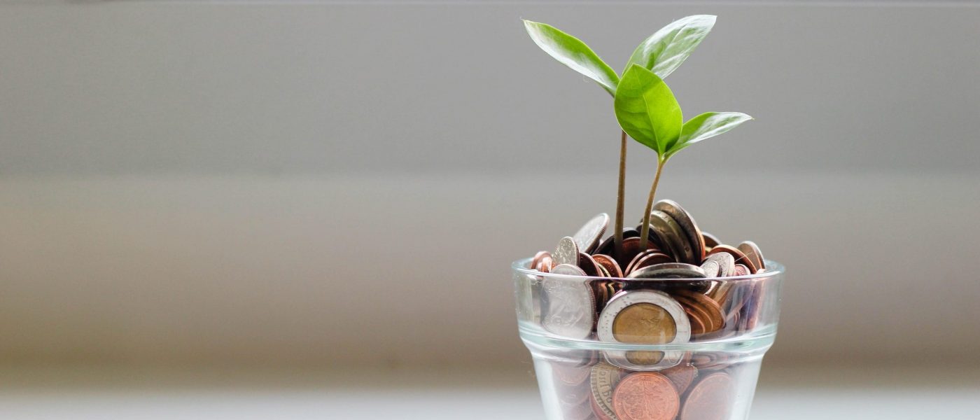 micheile-henderson-SoT4-mZhyhE-unsplash Plant growing out of a cup of coins