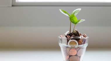 micheile-henderson-SoT4-mZhyhE-unsplash Plant growing out of a cup of coins